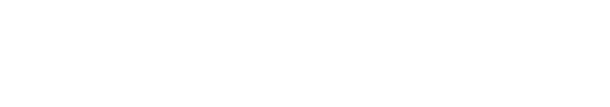 Heidtmann Consulting Logo